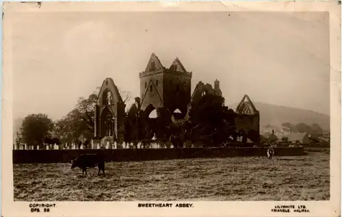 Sweetheart Abbey -442964