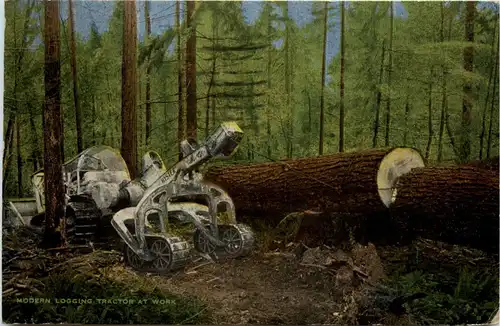 Modern Logging Tractor at Work -445408