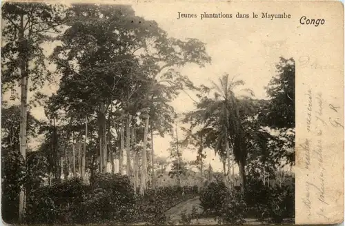 Congo - Plantations dans le Mayumbe -448632