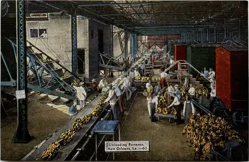 New Orleans - Unloading Bananas -450894