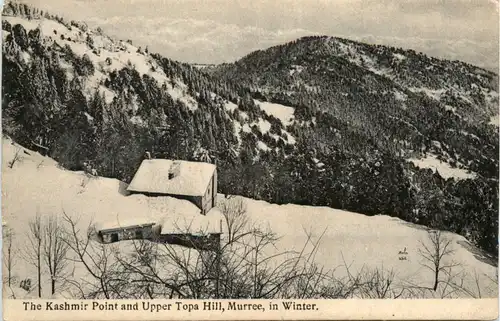 Murree - Kashmir Pint and Upper Topa Hill - Pakistan -100452