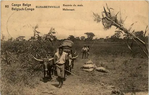 Congo Belge - Elisabethville - Ganzsache -98658