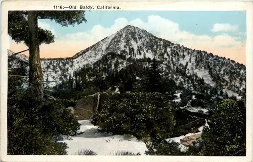 Old Baldy Californina -436878