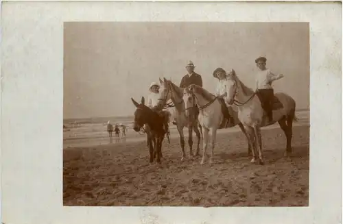 Pferd und Esel am Strand -458288