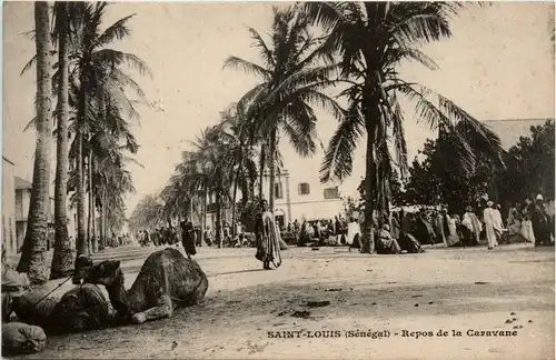 Senegal - Saint-Louis - Repos de la Caravane -443200