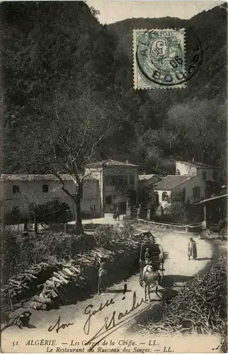 Blida, Les Gorges de la Chiffa , Le Restaurant du Ruisseau des Singes -362388