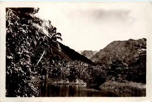 Tahiti - Valley of Faaone -81994