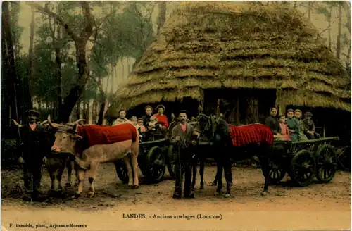 Landes - Ancien attelages -465008