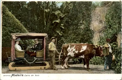 Madeira - Carro de bois -469432