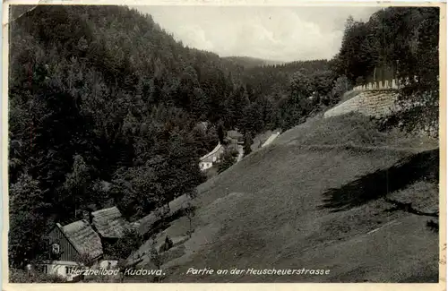 Herzheilbad Kudowa - Partie an der Heuscheuerstrasse -473140