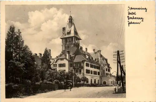 Semmering Hotel Erzherzog Johann -375312