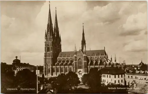 Uppsala - Domkyrkan -100958