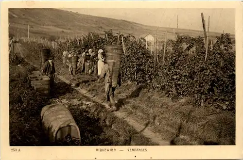 Riquewihr - Vendanges - Wein -101658