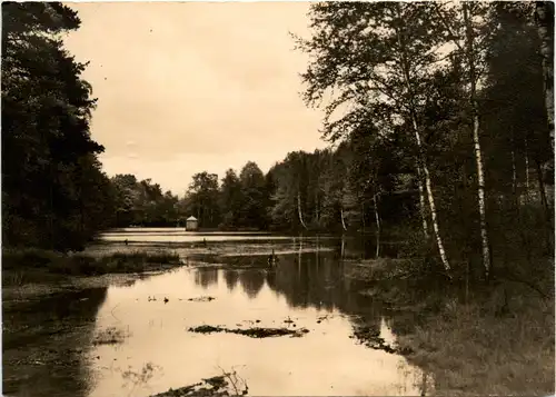 Am Seerenteich bei Dorfhain, Krs. Freital -387398