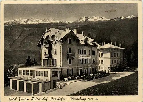 Mendelpass - Hotel Kaltererhof -459014