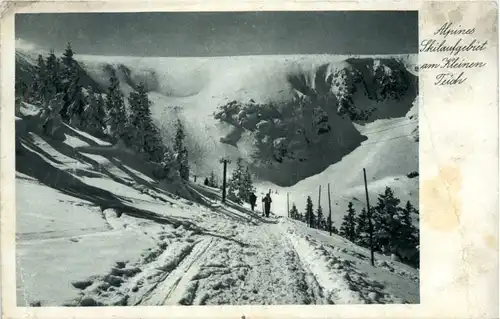 Alpines Skilaufgebiet am Kleinen Teich -489614