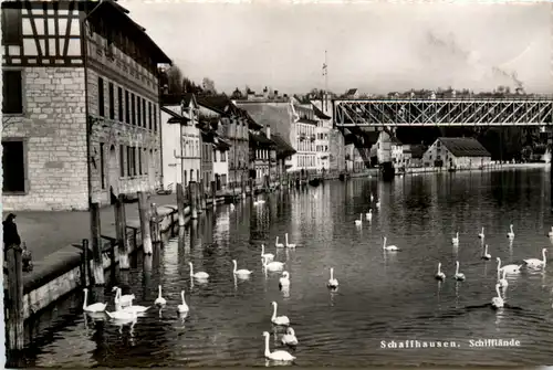 Schaffhausen - Schifflände -491078