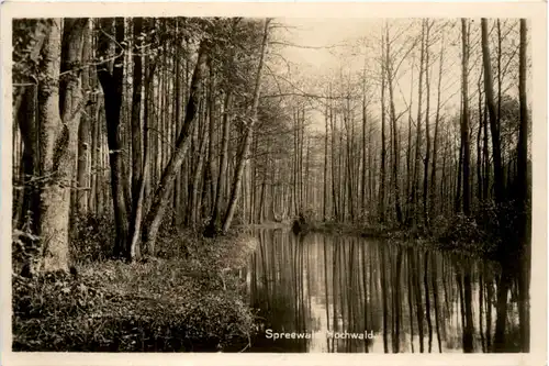 Spreewald, Hochwald -396402