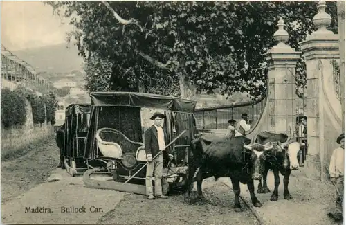 Madeira - Bullock Car -474780