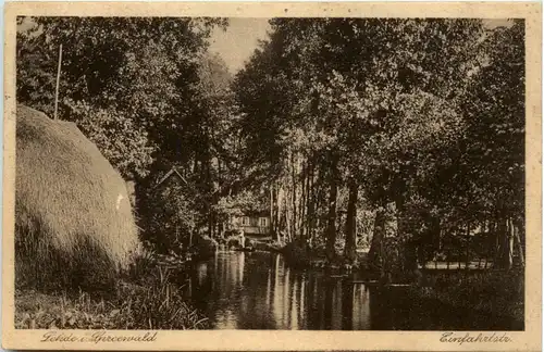 Lehde im Spreewald, Einfahrtstrasse -396328