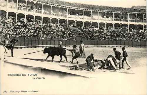 Madrid - Corrida de Toros -497998