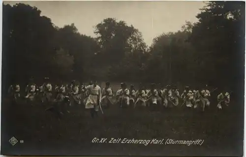 Wien Kaiserhuldigungs Festzug -603026