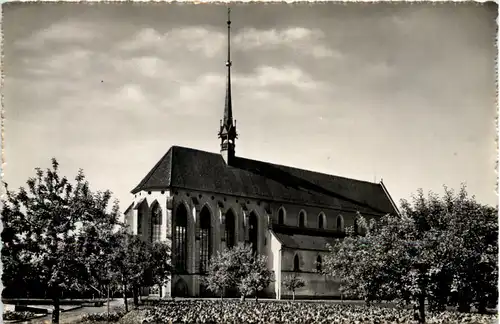 Klosterkirche Königsfelden -507484