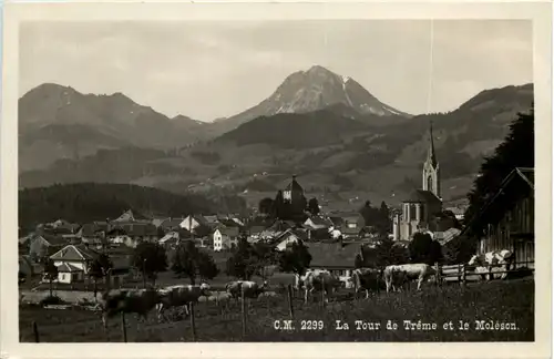 La Tour de Treme et le Moleson -605390