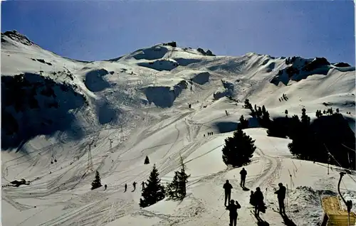 Flumserberg, Abfahrt vom Maschgachamm -508002