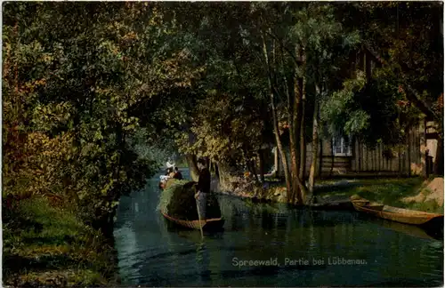 Spreewald, Partie bei Lübbenau -509782