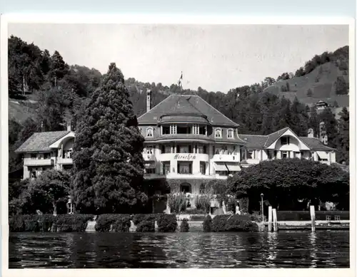 Gunten - Hotel Hirschen -490924