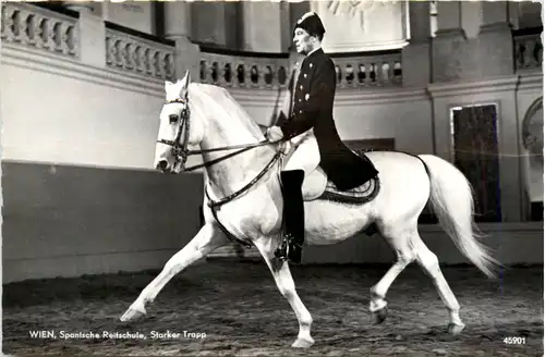 Wien, Spanische Reitschule -391844