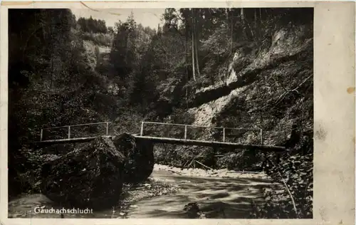 Donaueschingen, Grüsse, Geschichte des Donau-Ursprungs -519754