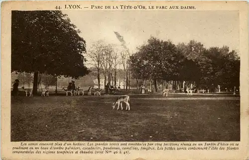 Lyon - Parc de la Tete d or -603986
