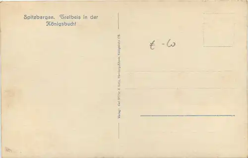 Spitzbergen - Treibeis in der Königsbucht -630992
