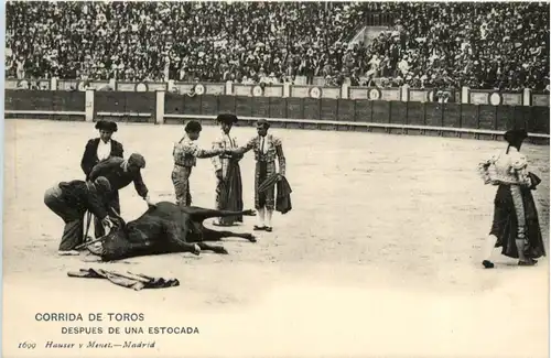 Madrid - Corrida de Toros -498006