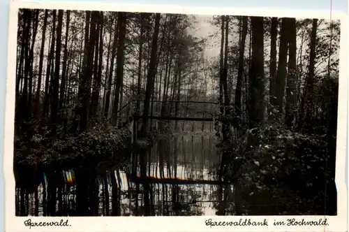 Spreewald, Spreewaldbank im Hochwald -509780