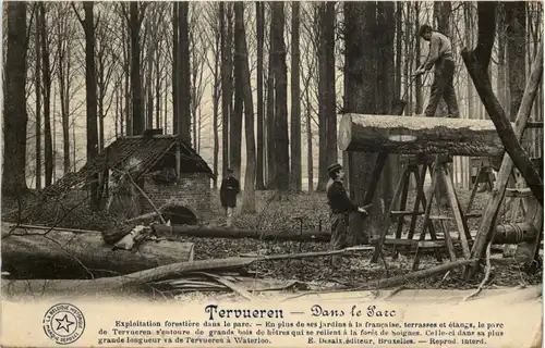 Tervueren - Dans le Parc - Holzfäller -644280