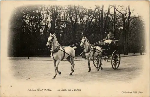 Paris-Mondain - Le Bois - un Tandem -644402