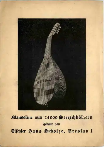 Breslau - Mandoline aus 24000 Steichhölzern -650550