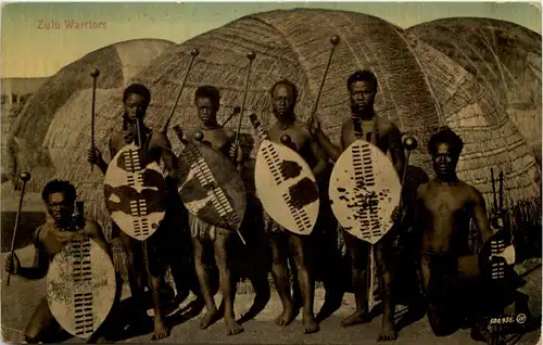 Zulu Warriors -650926