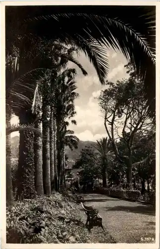 Madeira - Funchal - Jardim botanico -651240