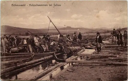 Böhmerwald - Holzschwemmen bei Salnau -655960