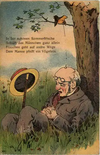 In der schönen Sommerfrische - Humor -658608