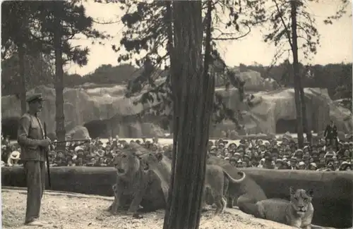 Parc Zoologique du Bois de Vicennes -662332