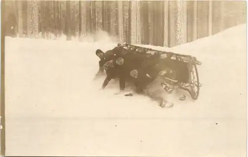 Harz - Bobsleigh - Bobfahren -663100