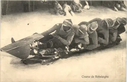 Course de Bobsleighs -663126