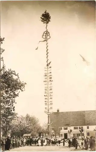 Maibaum -664146