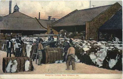 New Orleans - Weighing Cotton -665766