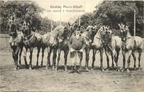 Direktor Pierre Althoff mit 8 Rotschimmeln - Zirkus -674514